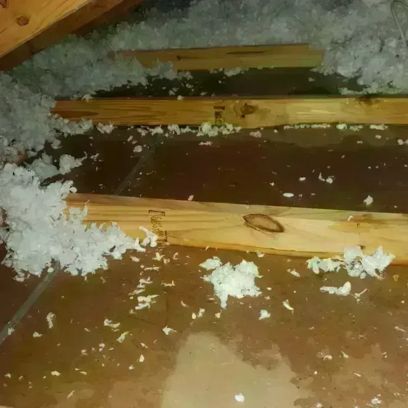 Attic Water Damage in Red Springs, NC