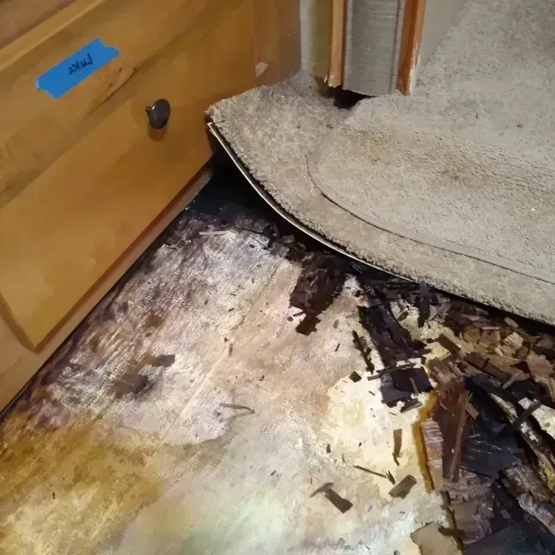 Wood Floor Water Damage in Red Springs, NC